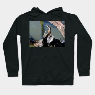 Anhinga Hoodie